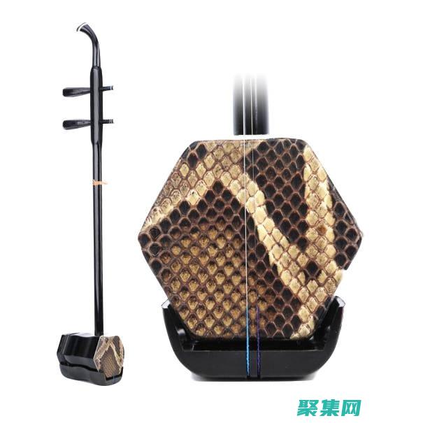 为初学者量身什么意思