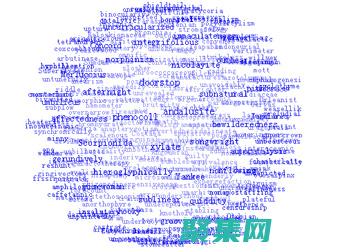 揭秘标签云：释放网站导航的强大力量 (标签云是什么)