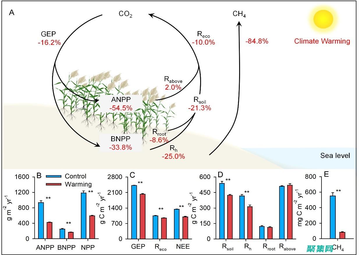 揭示的严峻现实