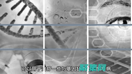 解读基因编辑技术的伦理复杂性，探讨其对人类健康和社会的潜在影响 (解读基因编辑的意义)