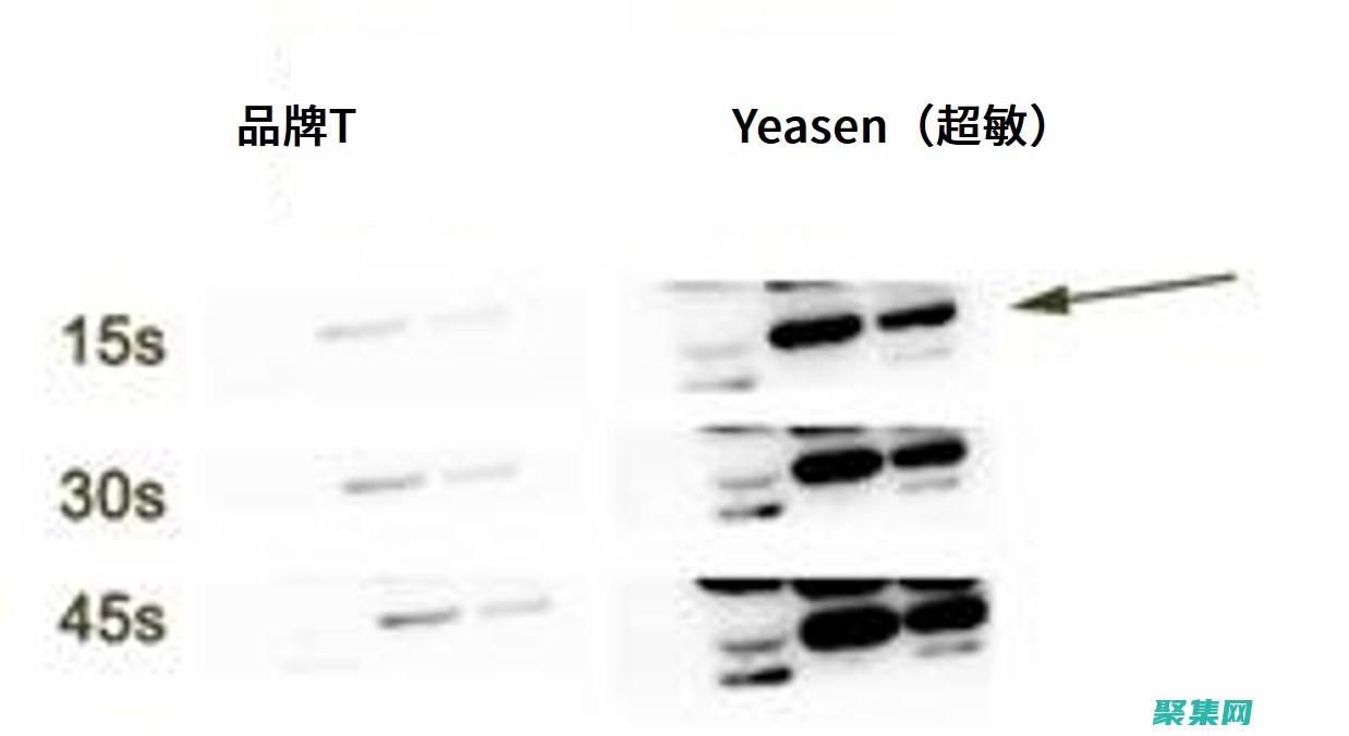 探索 Eclipse 3.4，用于构建复杂应用程序的理想 IDE (探索ecco)