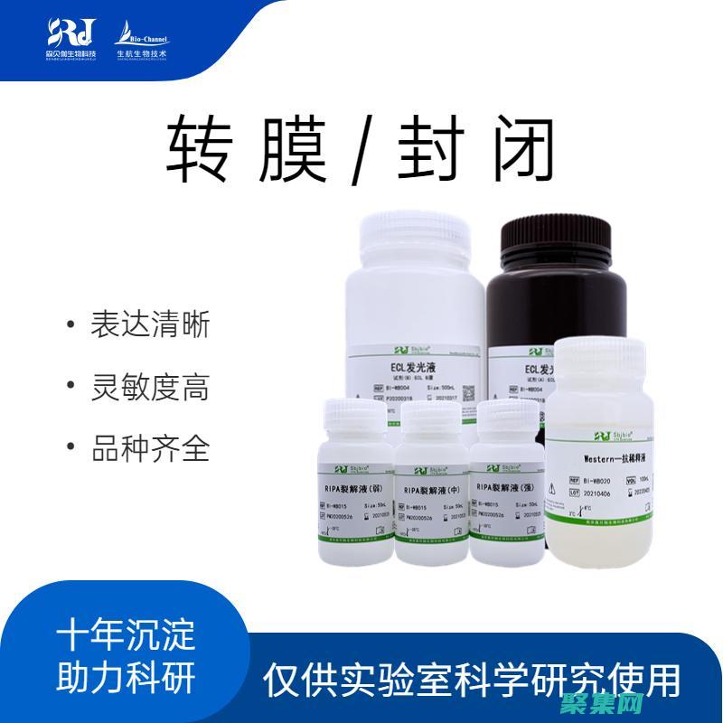 可扩展的应用程序