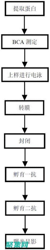 成为出色的软件者