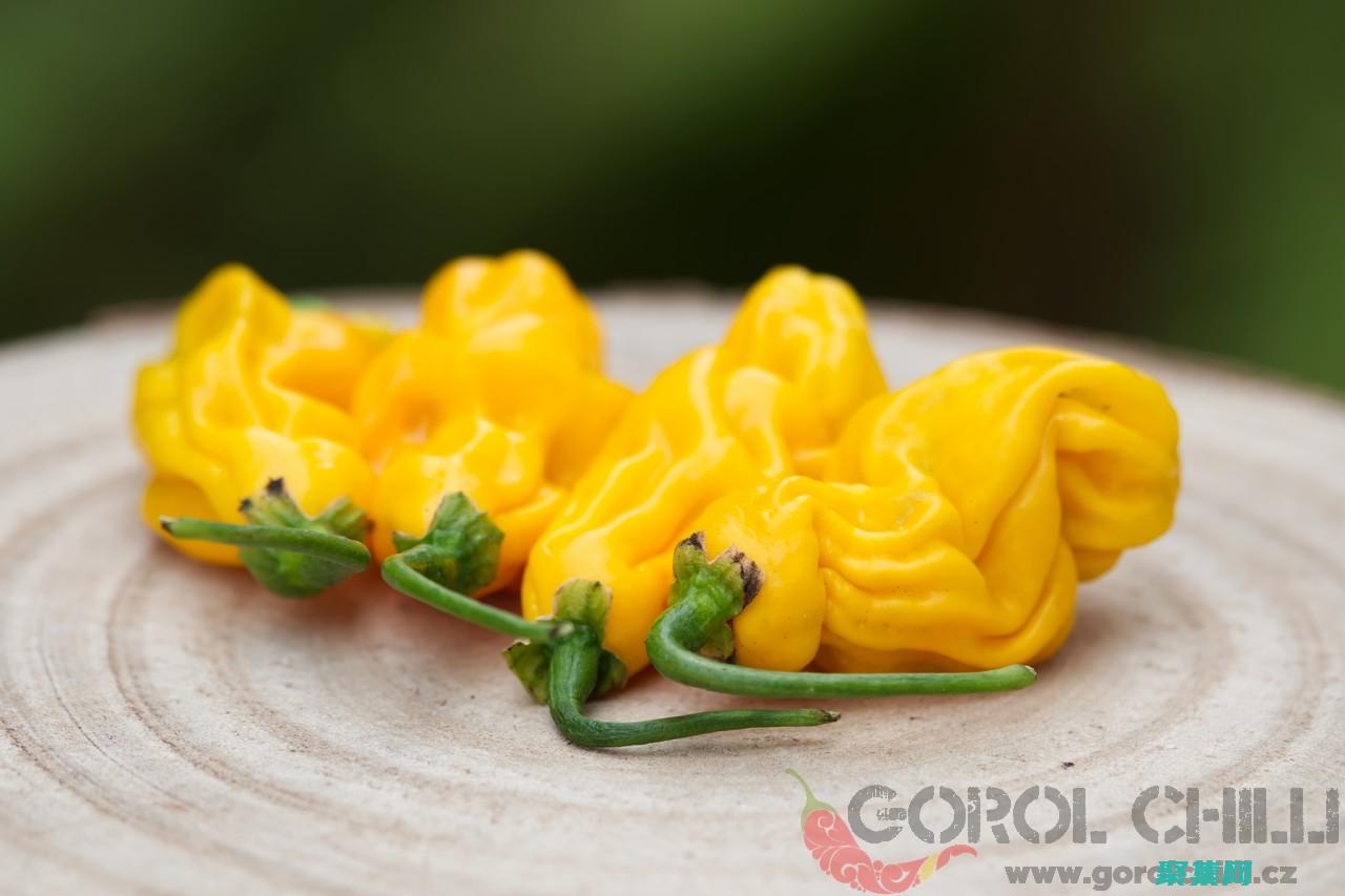 释放您的内容潜力