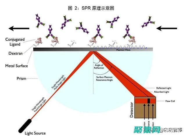 使用 Spring LDAP 实现 LDAP 身份验证的深入教程 (使用spring可以实现声明式事务吗)
