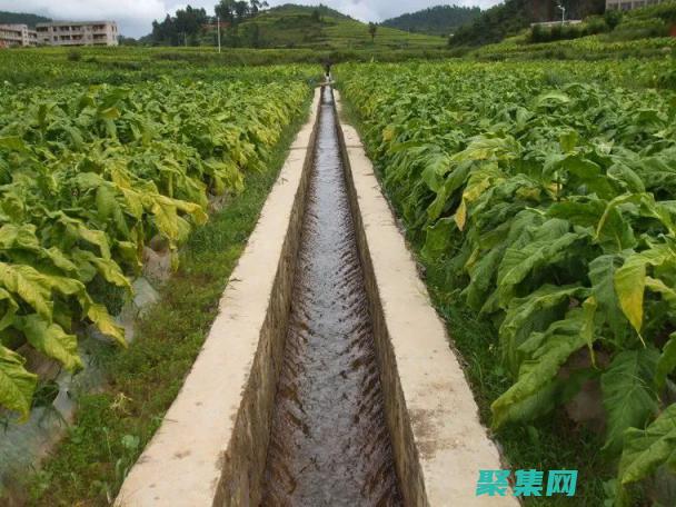 行高在杂志中的关键作用