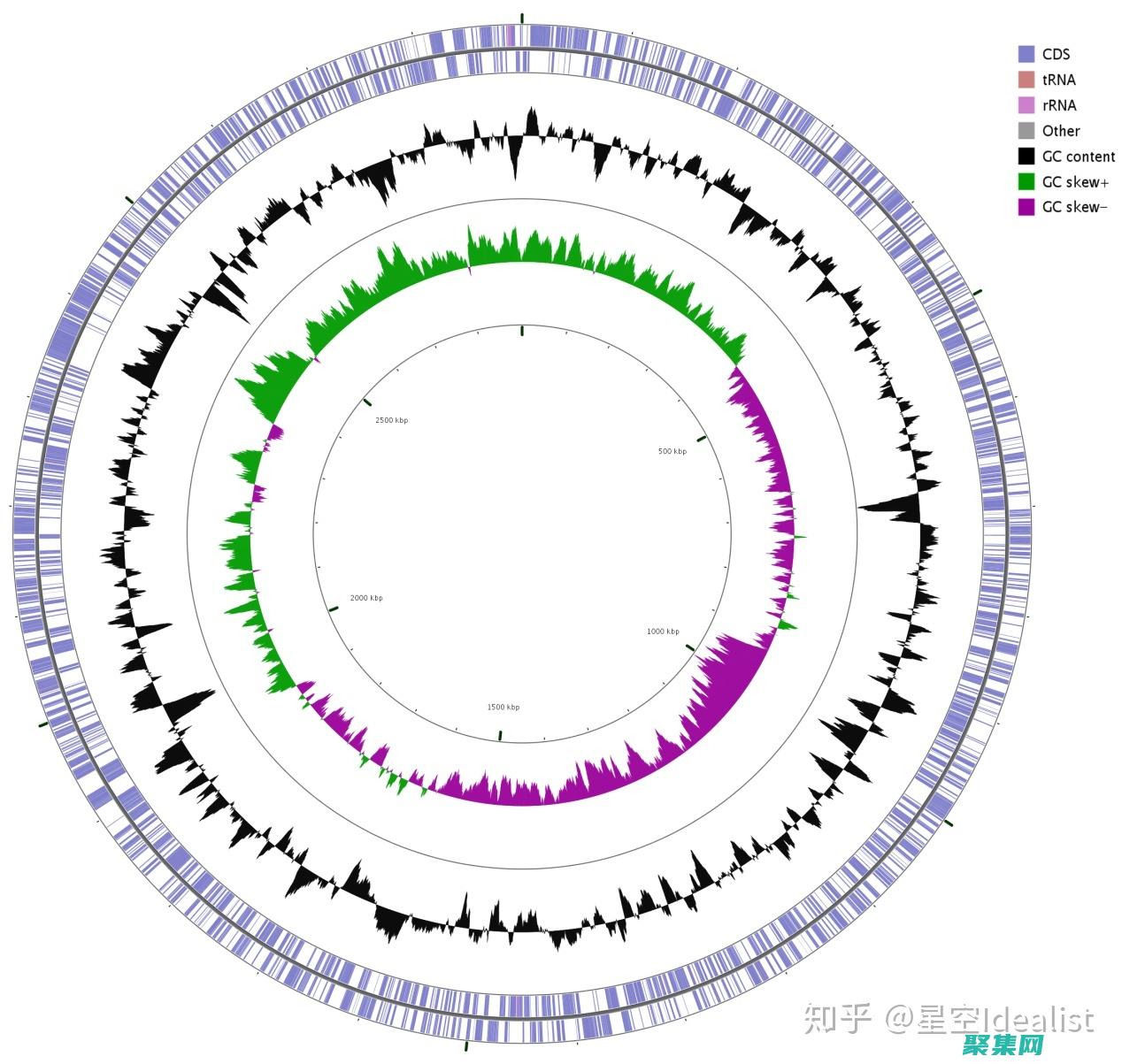 构建 Java 应用程序的基础：掌握公共类的概念 (构建java环境)