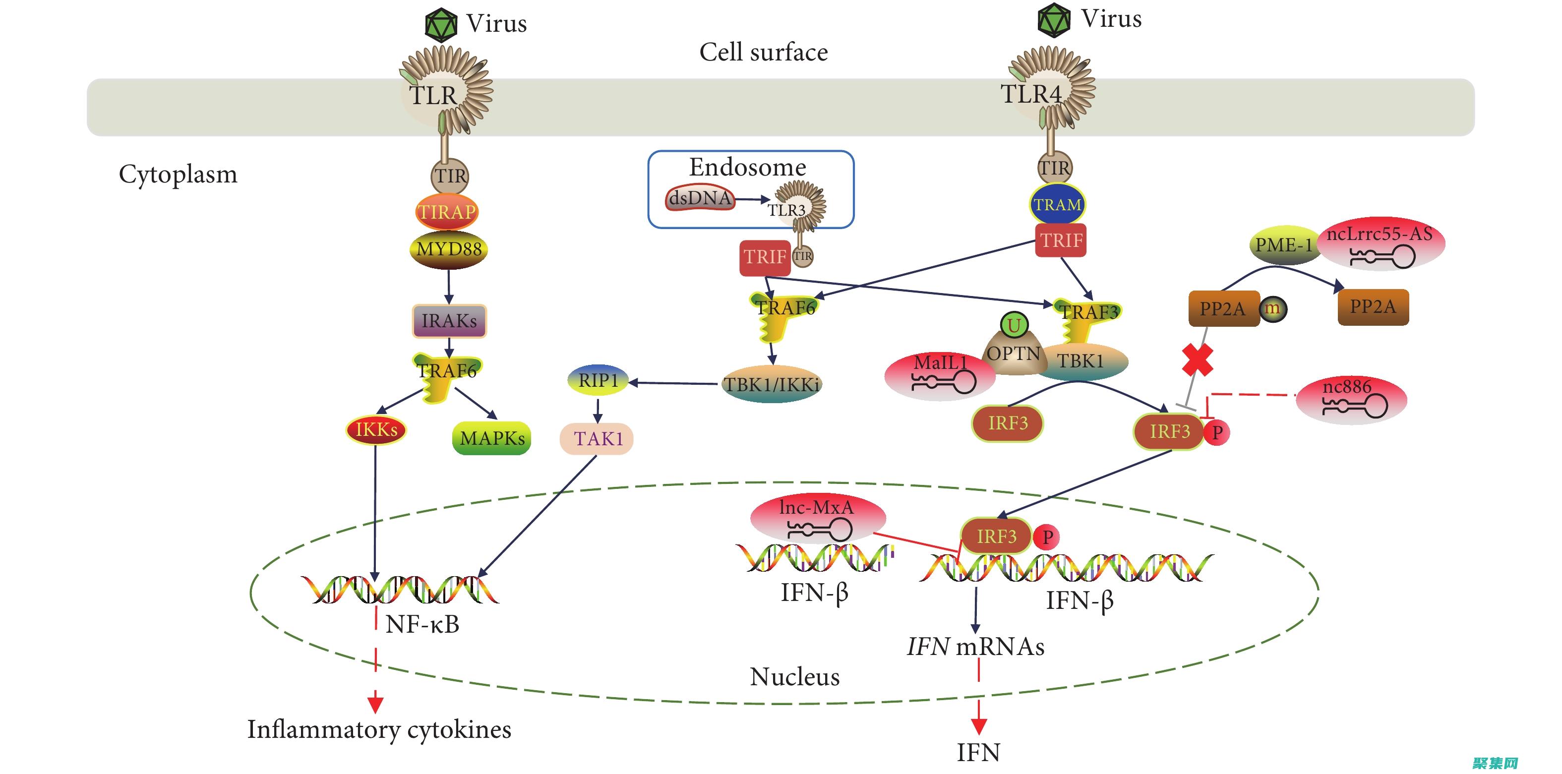 实现透明的完整指南