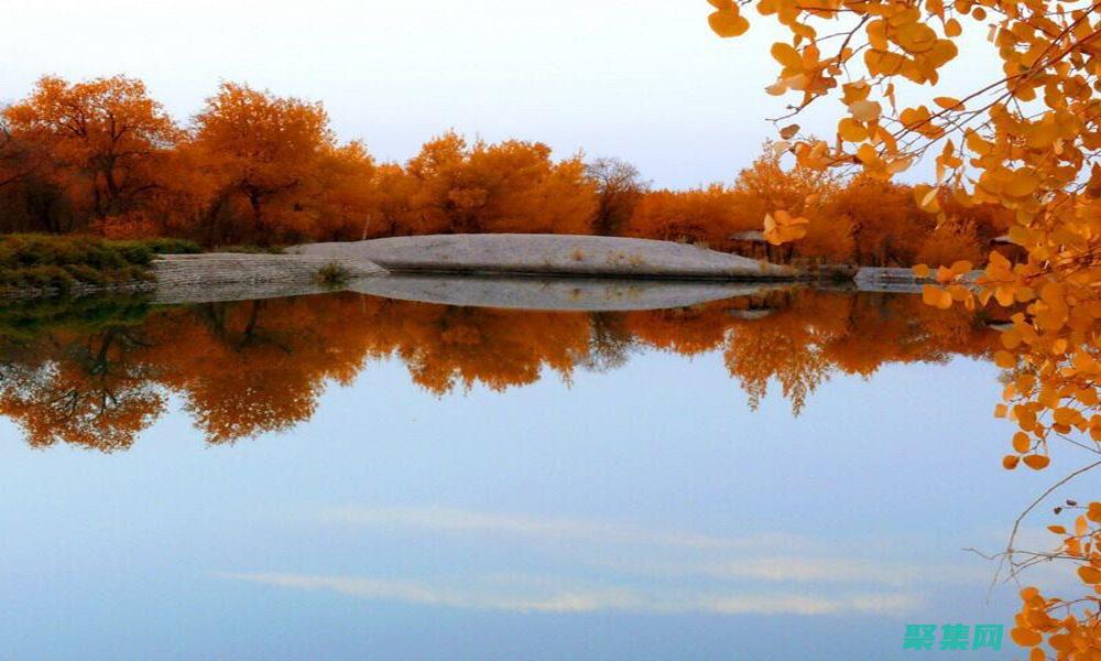 揭开 Zephyr 设置的奥秘：诊断和解决常见问题 (揭开怎么读)