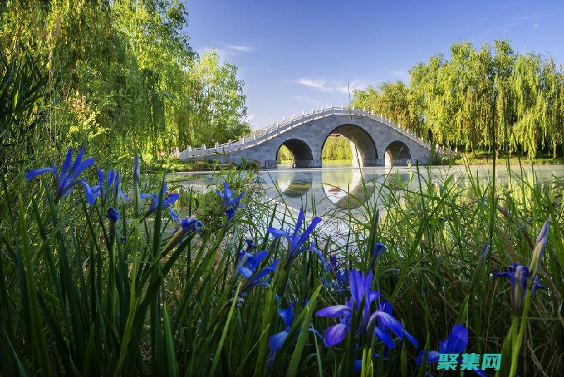 诊断和解决常见