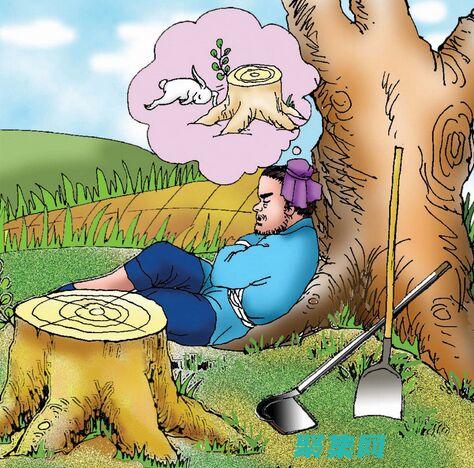 步步为营自己的偶像竟然是男朋友的亲姐姐