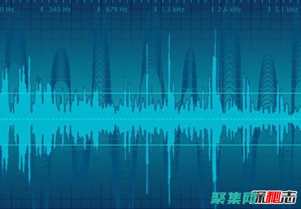 选择合适的音频录音机