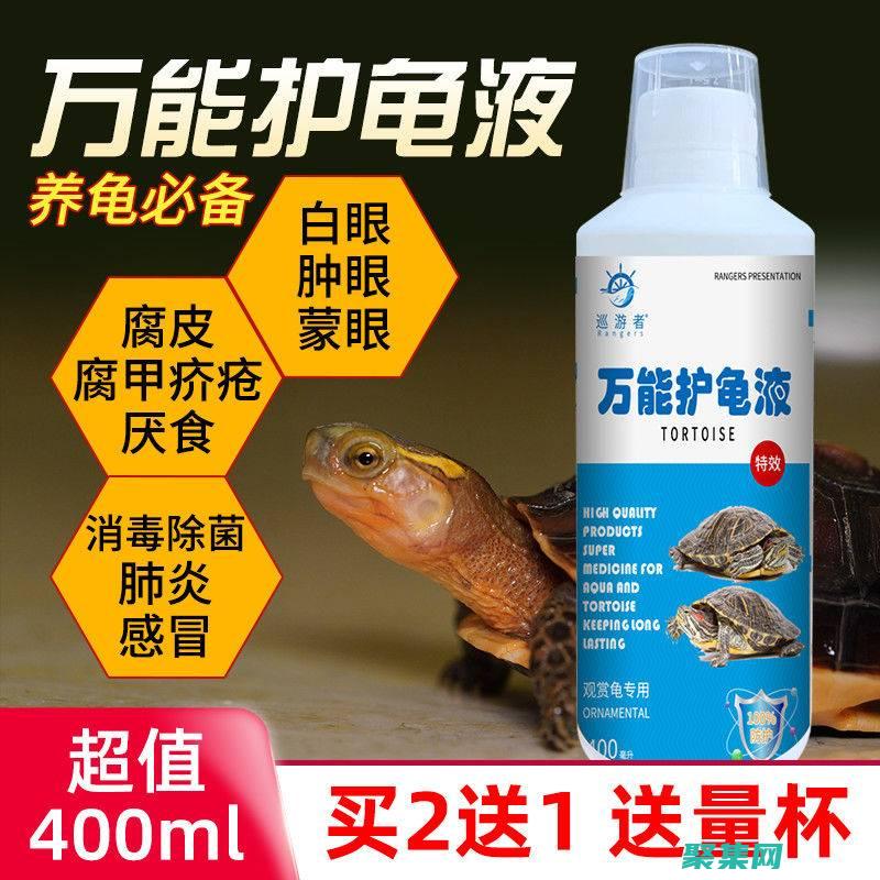 乌龟血能治什么病