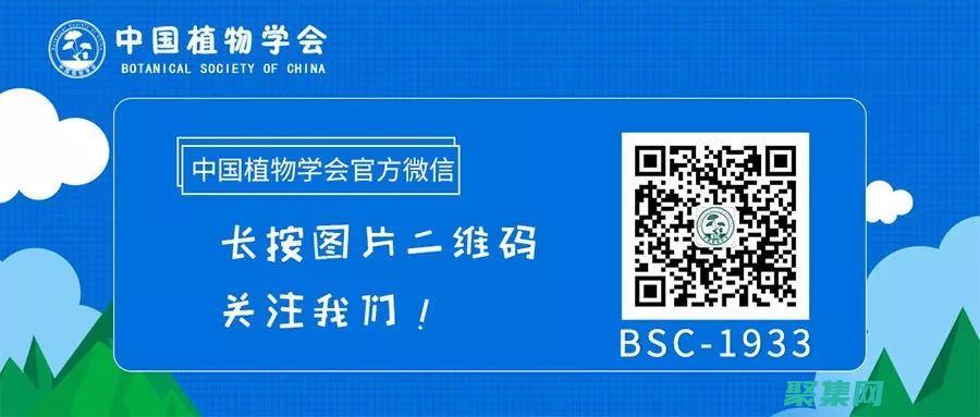 工作流赋能您的企业