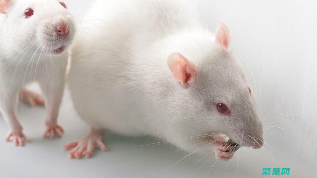 跨浏览器的鼠标怎么用