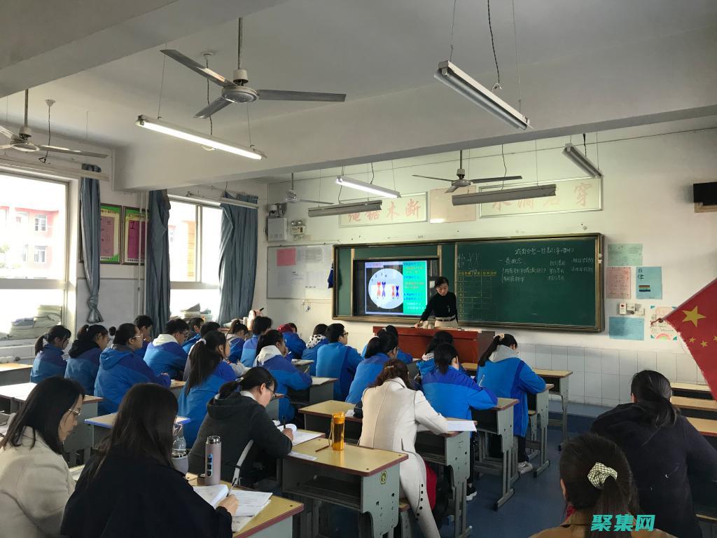 从初学者到专业人士