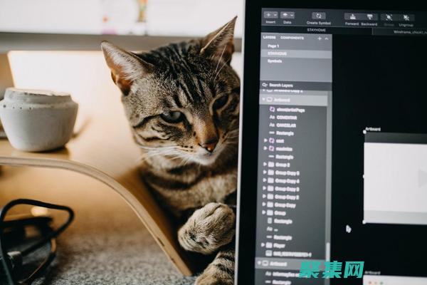 技能的人才的领域应用