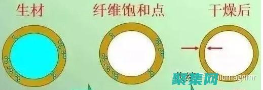 从感主义到虚无主义