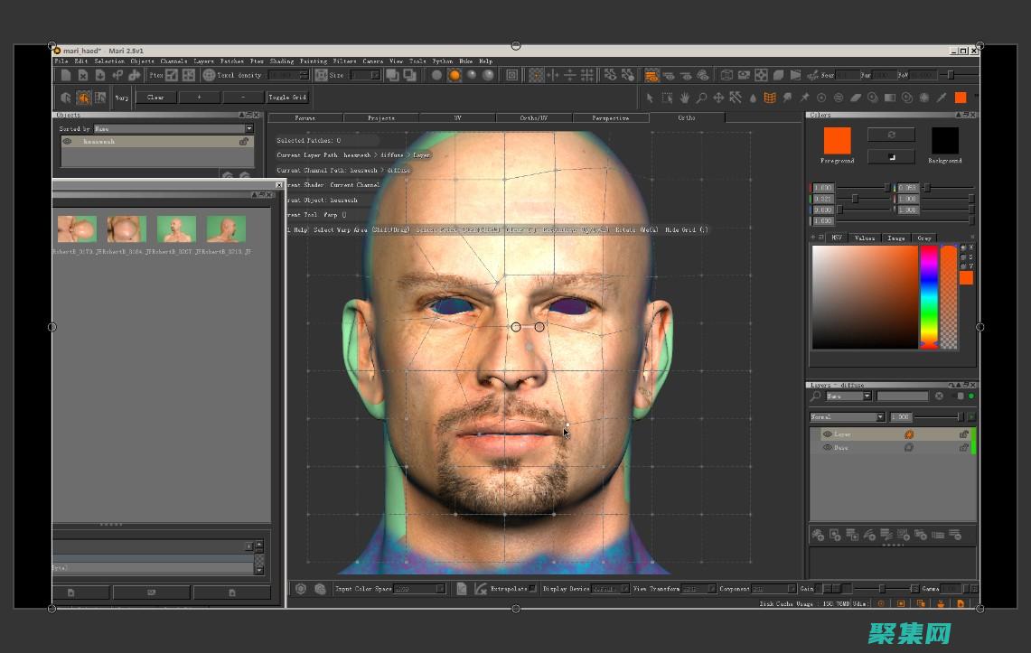 从初学者到高手