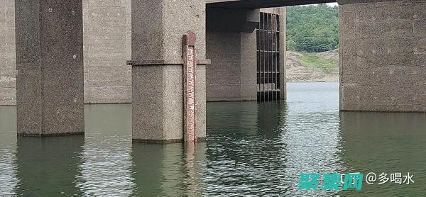 揭秘 Markdown 编辑器的强大：释放你的写作潜力 (揭秘mate60)