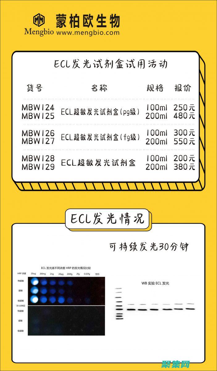 通过 Eclipse 的 SVN 集成实现协作式代码管理 (通过ECC认证)