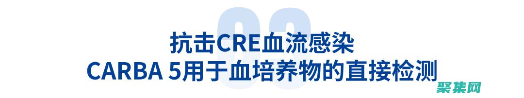 为图形增添创意的终极指南