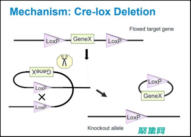 图案笔刷的革命