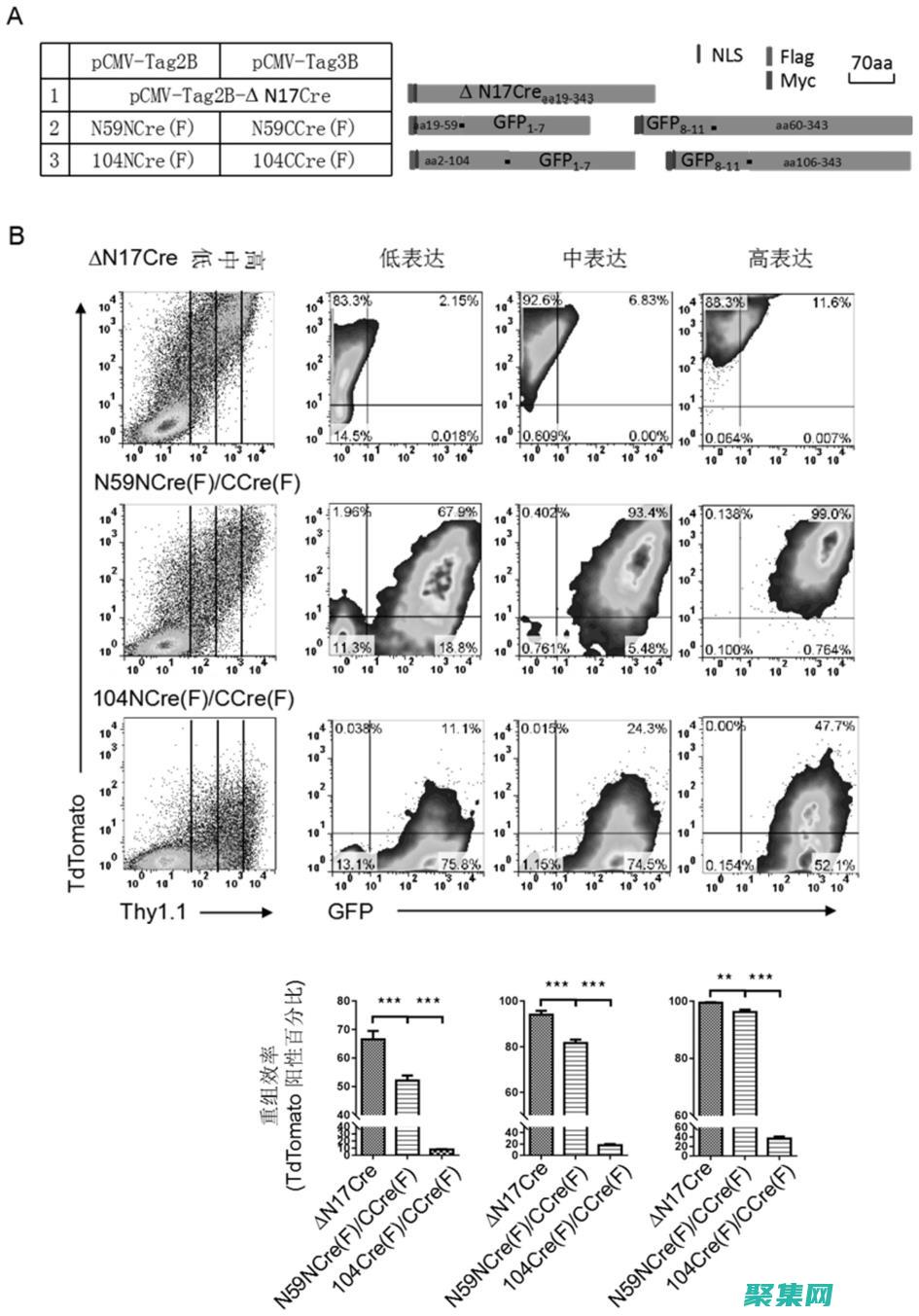 通过 createpatternbrush 提升您的设计：添加个性化笔刷的魔法 (通过CREATE TABLE语句创建一个表后)