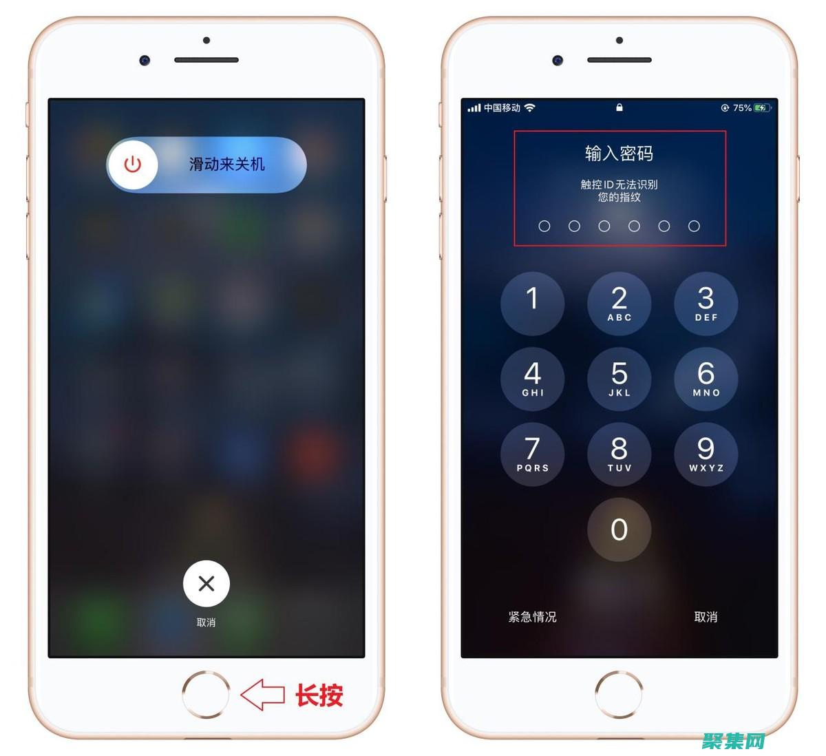 释放tviewer的强大功能