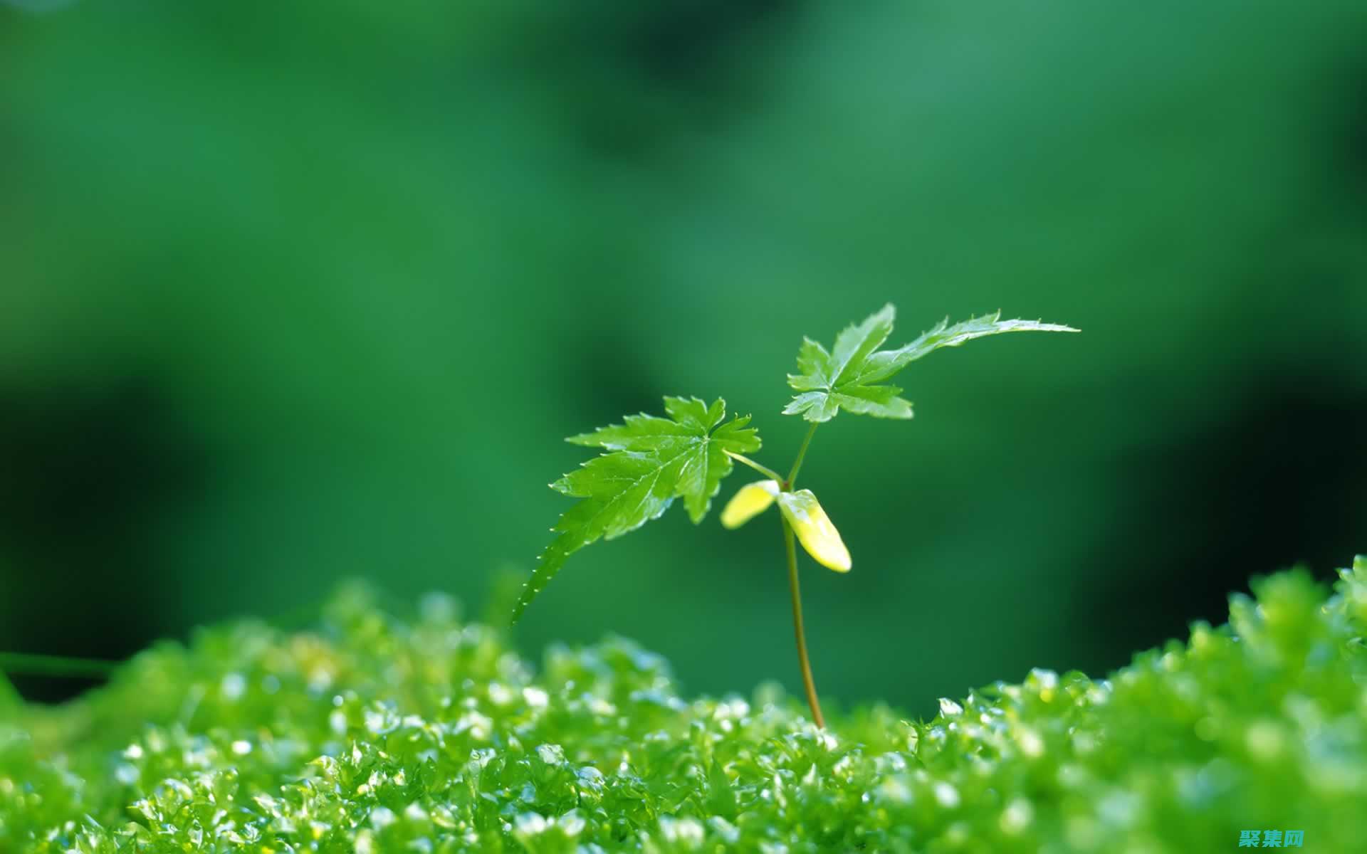 提升您的视觉体验