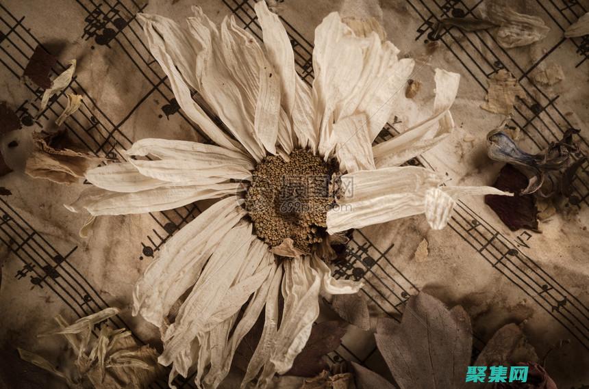 释放你的复古英文