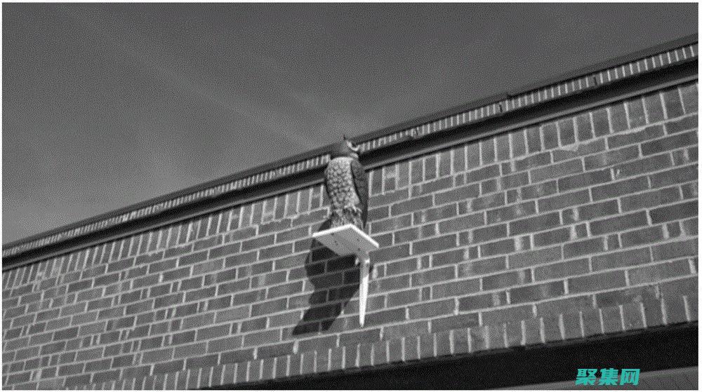 问题引起的计算机问题