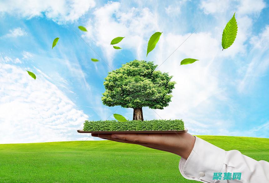 为企业成功铺平道路的环保举措