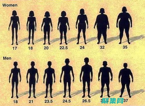 不同类型的接口