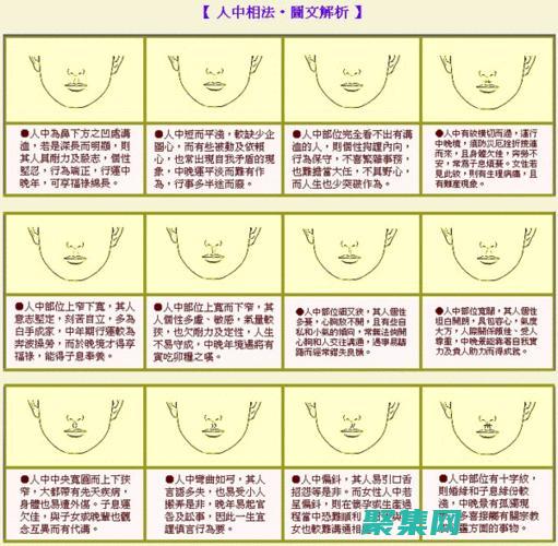 面向初学者和人士的安卓应用案例开发大师班