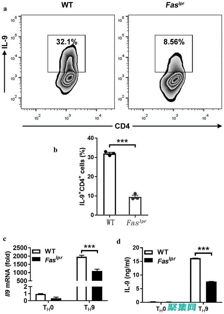 强大的报告功能