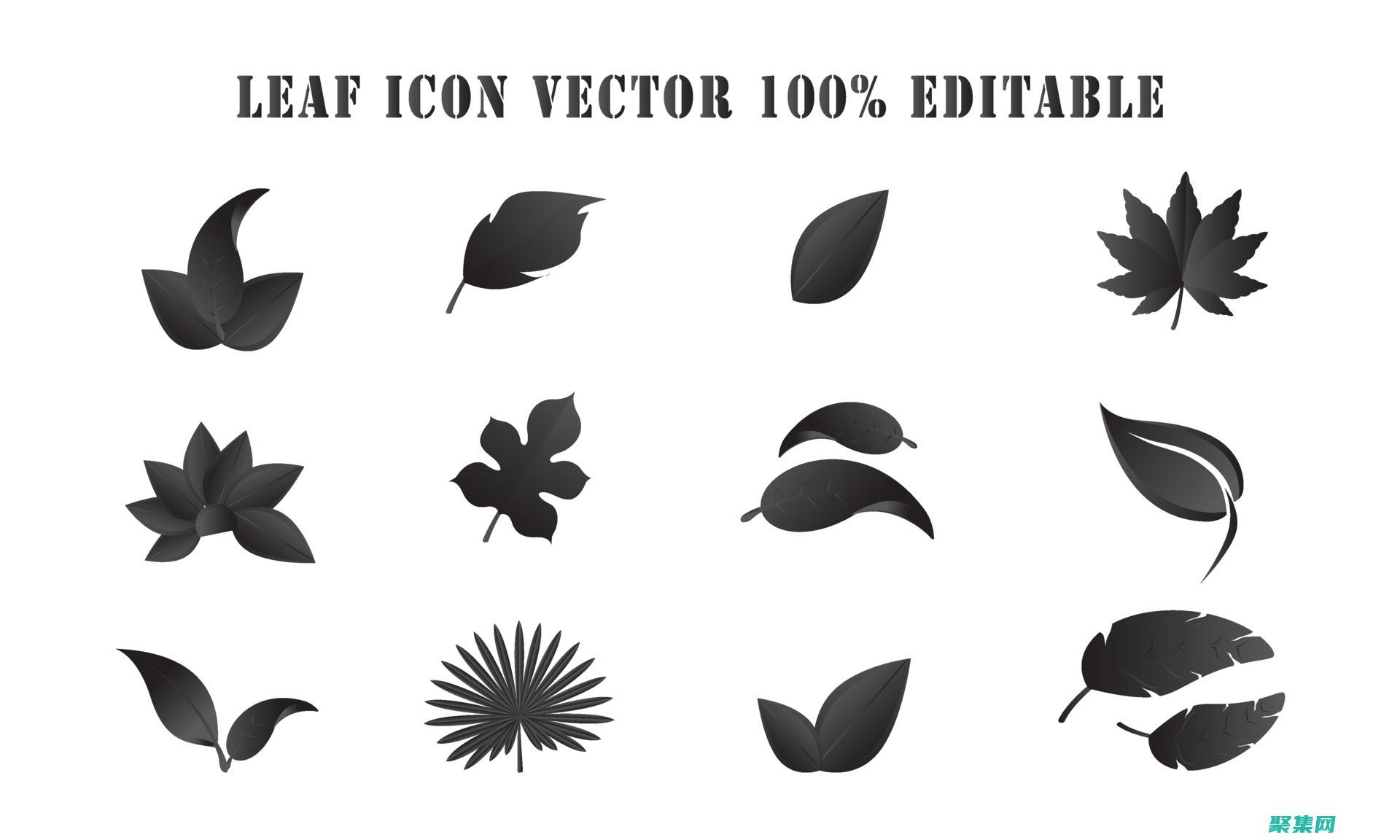 drier是什么牌子