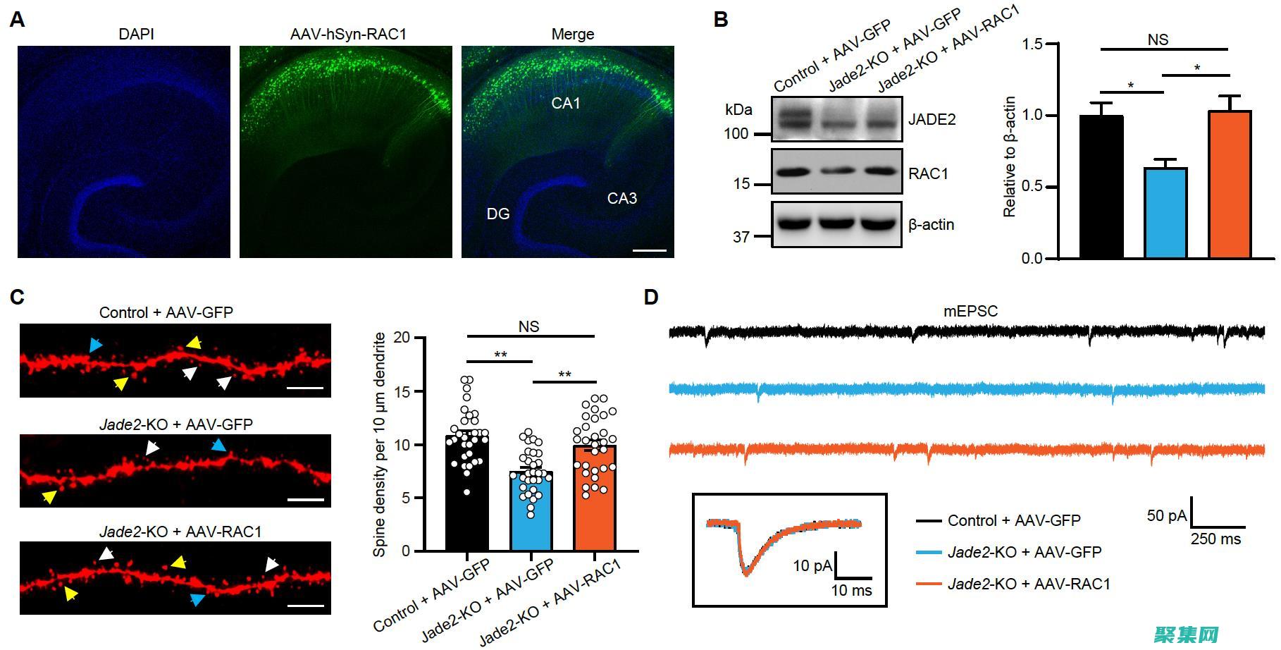 深入了解其目的和功能