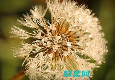 使用goagent解锁你的互联网潜力