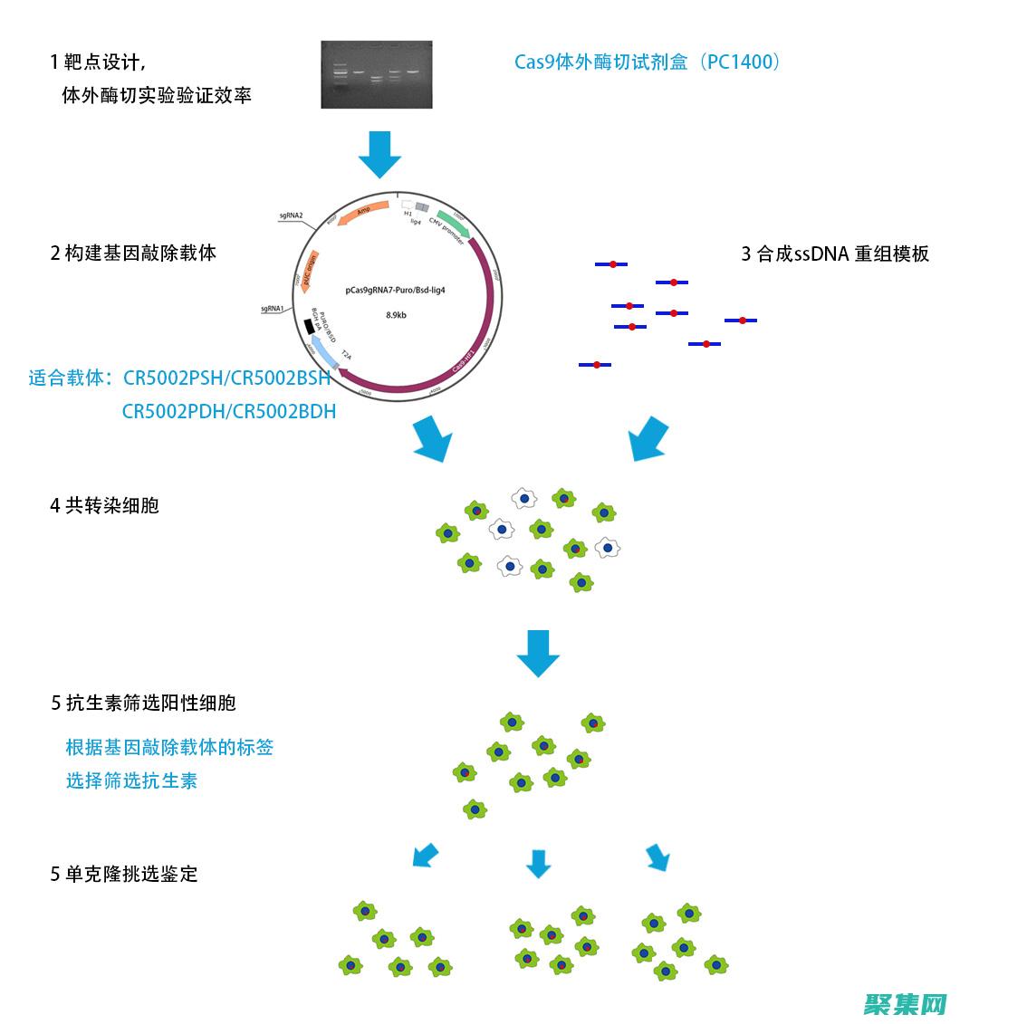 因此全栈开发人员必须不断学习和适应新的技术和趋势