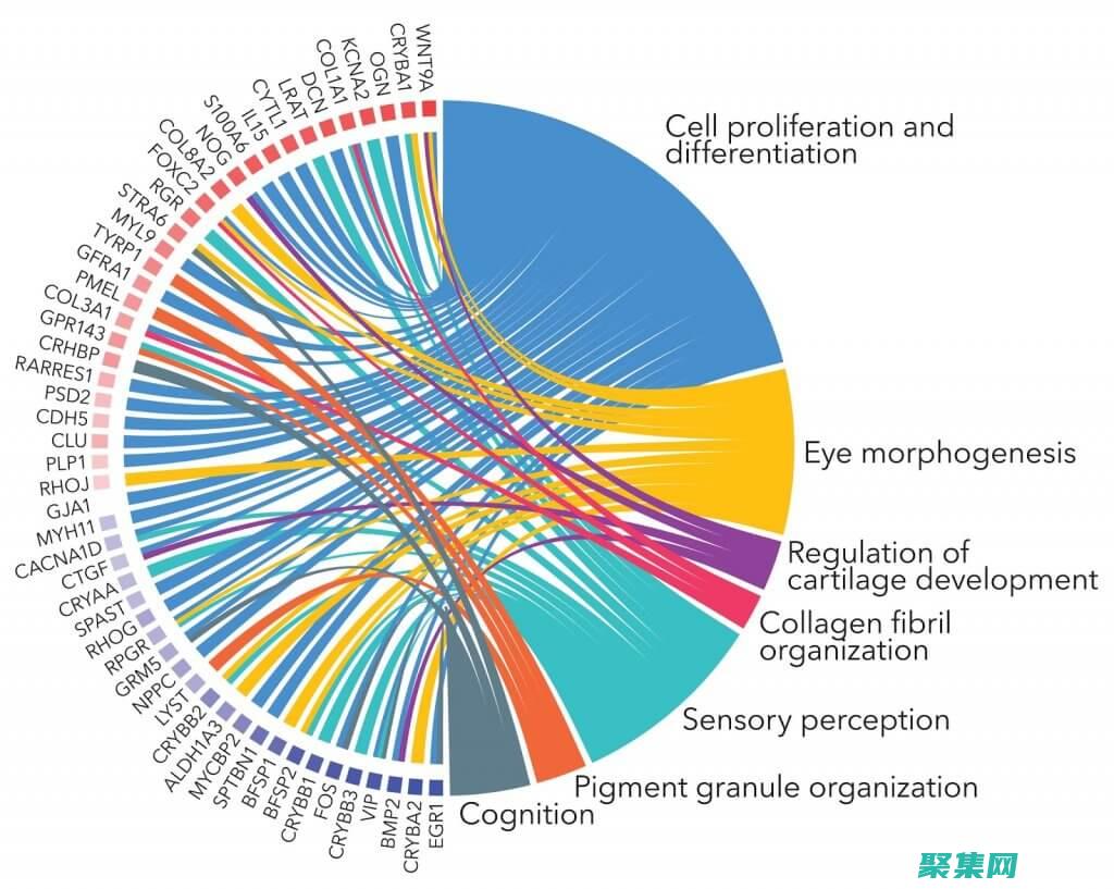 深入解读软件有哪些