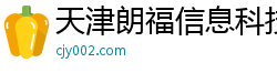 天津朗福信息科技有限公司