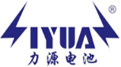 纽扣电池,3v纽扣电池,纽扣电池厂家,纽扣电池价格-深圳力源电池
