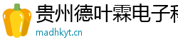 贵州德叶霖电子科技有限公司官网