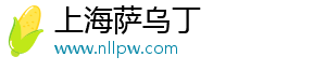 上海萨乌丁电子科技有限公司