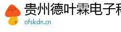贵州德叶霖电子科技有限公司