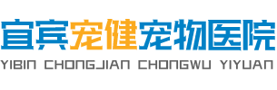 宜宾宠物医院-宜宾宠健宠物医院