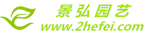 合肥办公室绿植租赁_花卉租摆出租【专业上门养护】-景弘园艺公司