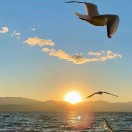 别墅网-别墅房屋设计图